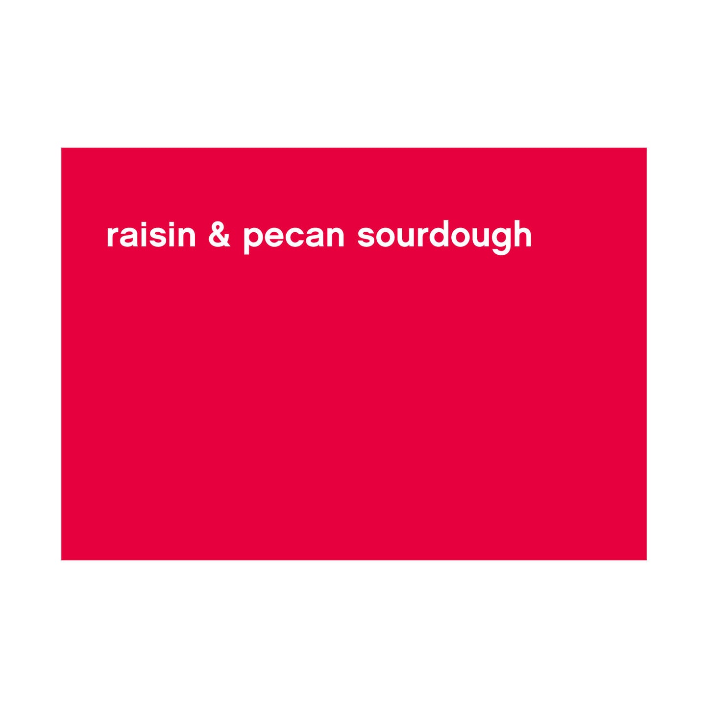 FBS-BP-028_raisin & pecan sourdough ENG