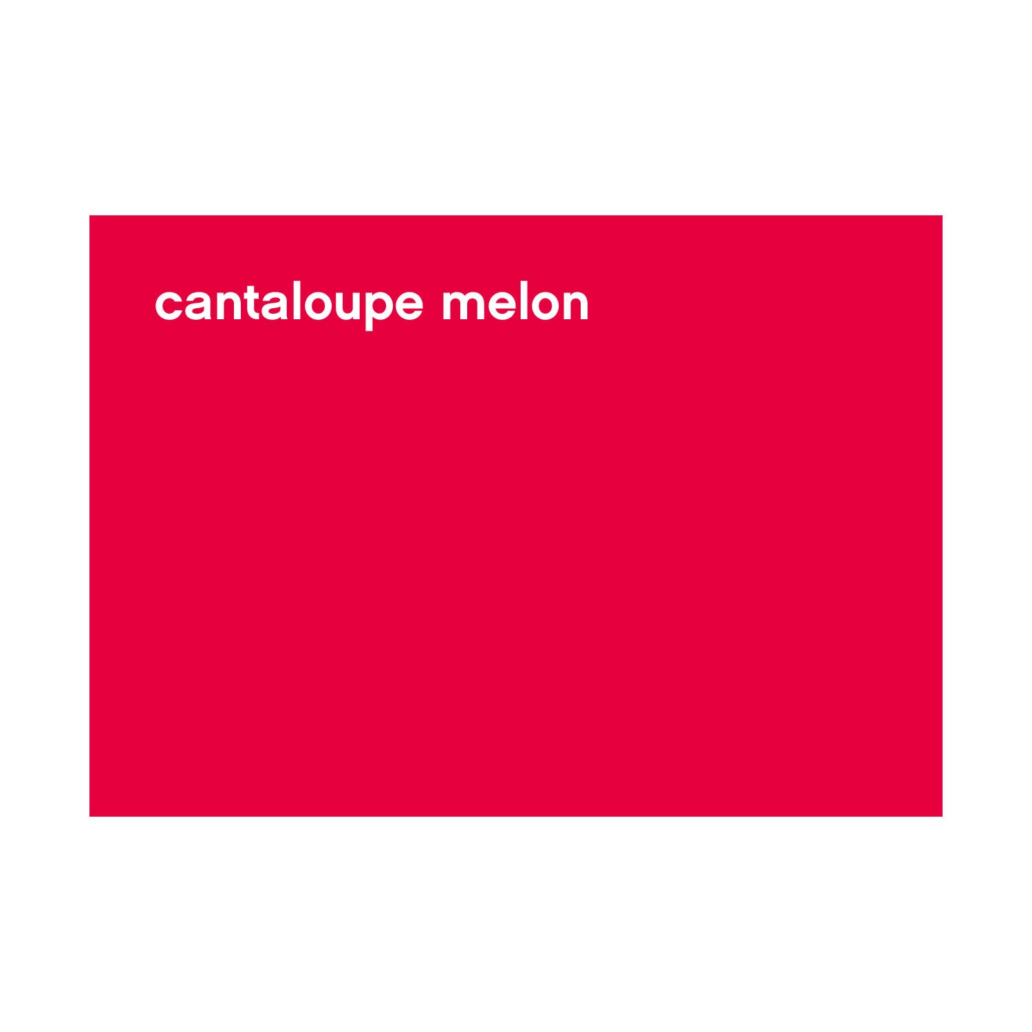 FBS-CF-026_cantaloupe melon