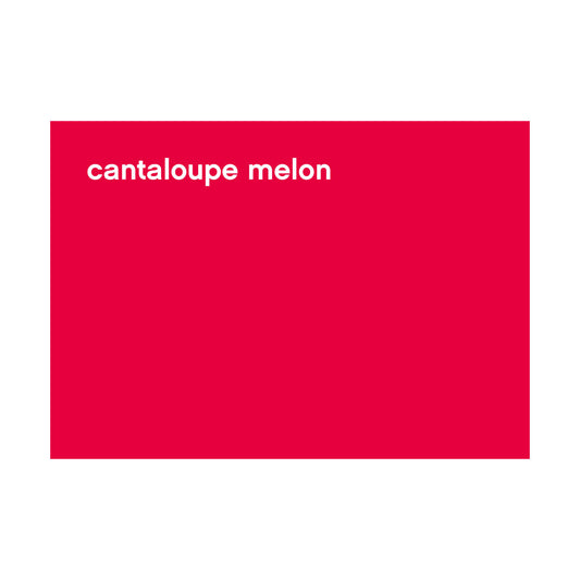 FBS-CF-026_cantaloupe melon