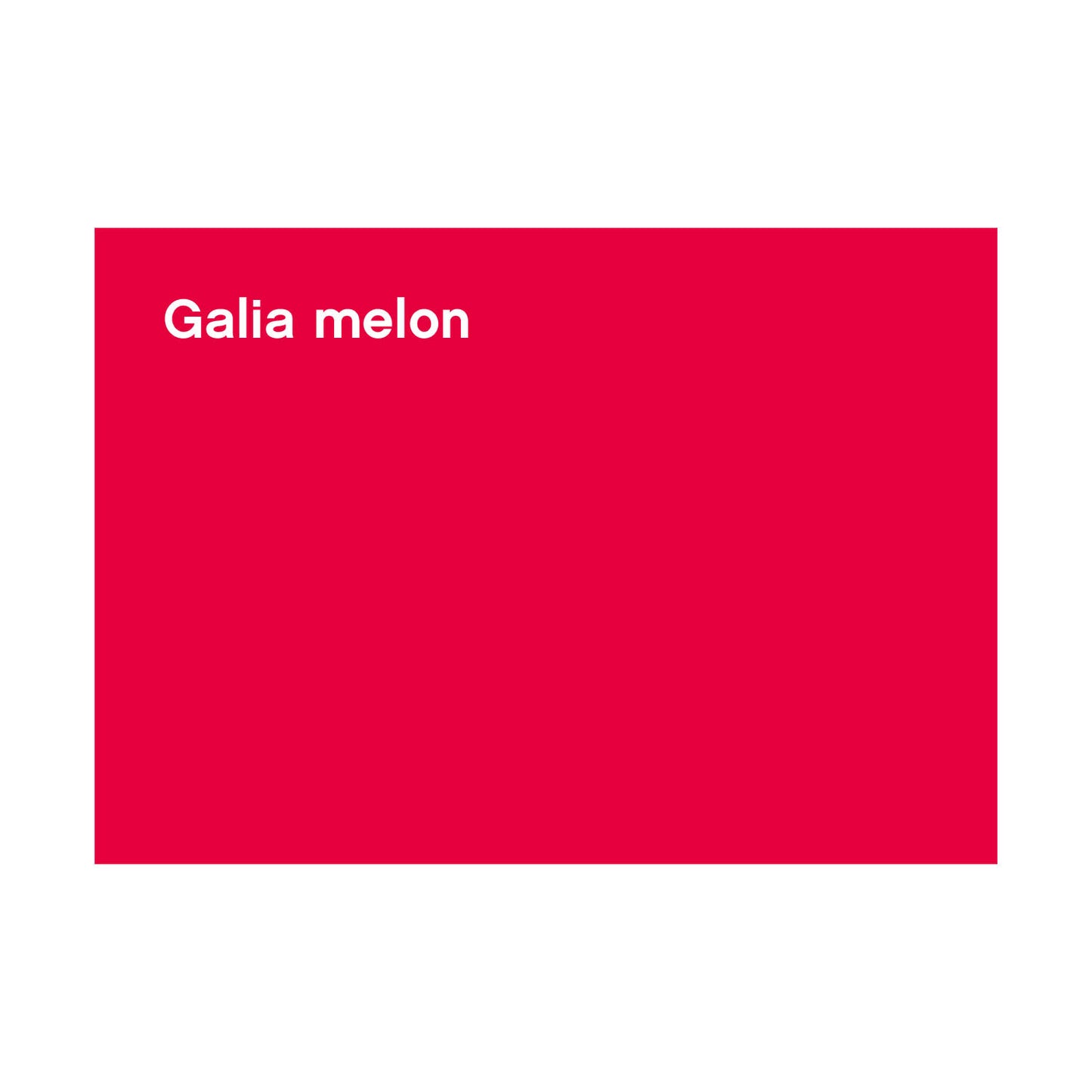 FBS-CF-028_Galia melon