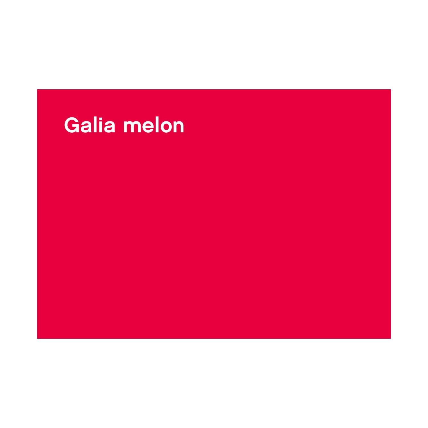 FBS-CF-028_Galia melon