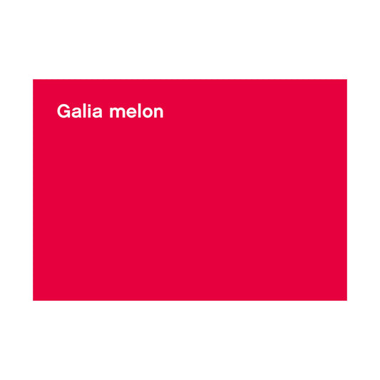 FBS-CF-028_Galia melon